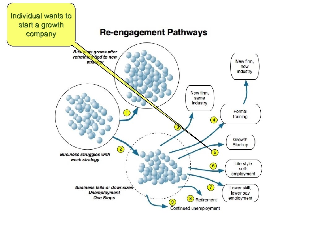 Individual wants to start a growth company 