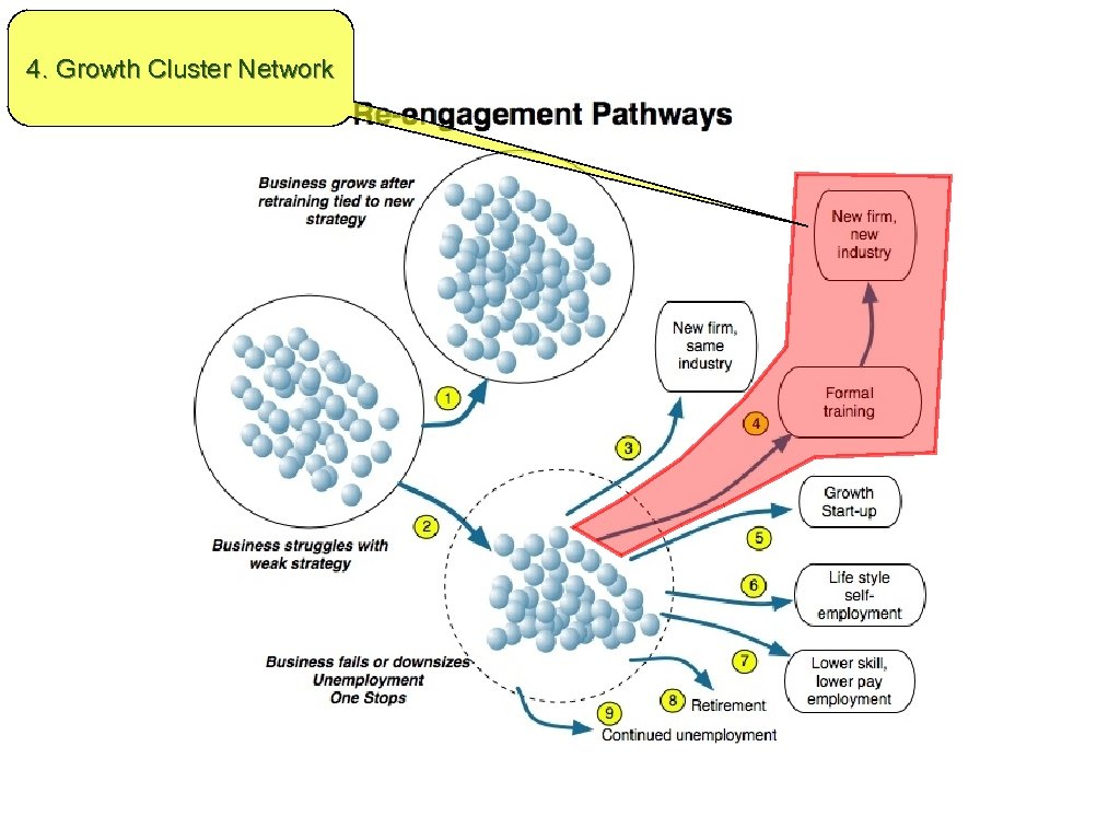 4. Growth Cluster Network 
