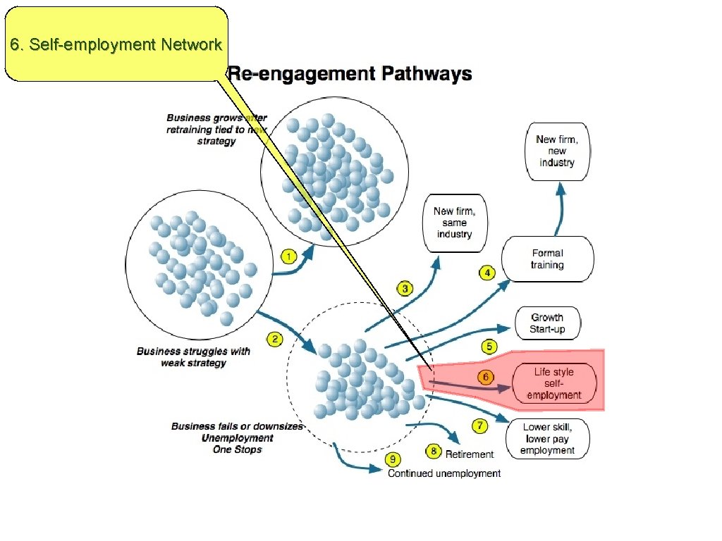 6. Self-employment Network 