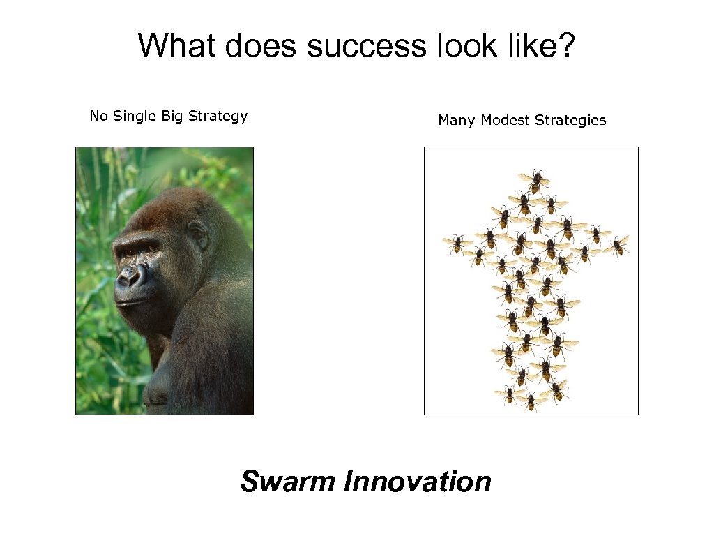 What does success look like? No Single Big Strategy Many Modest Strategies Swarm Innovation