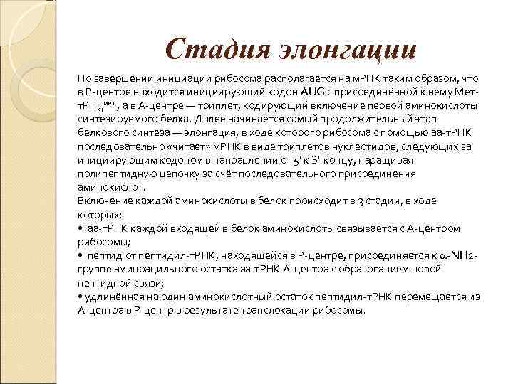 Стадия элонгации По завершении инициации рибосома располагается на м. РНК таким образом, что в