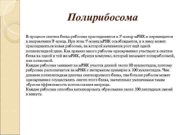 Полирибосома В процессе синтеза белка рибосома присоединяется к 5'-концу м. РНК и перемещается в