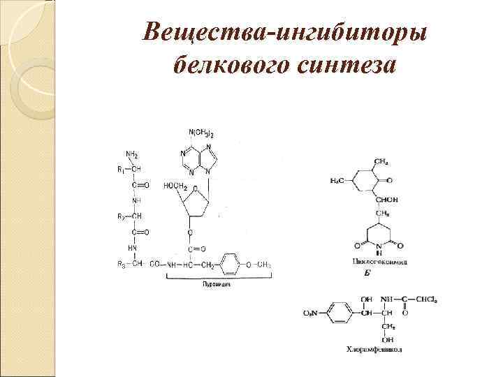 Вещества-ингибиторы белкового синтеза 