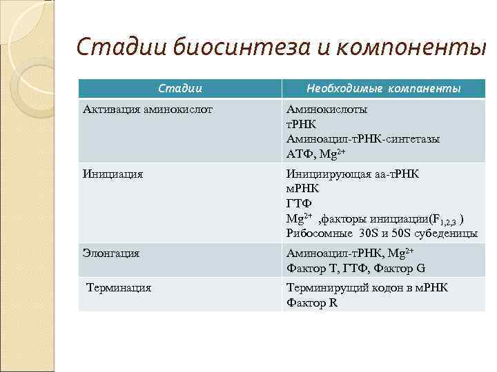 Стадии биосинтеза и компоненты Стадии Необходимые компаненты Активация аминокислот Аминокислоты т. РНК Аминоацил-т. РНК-синтетазы