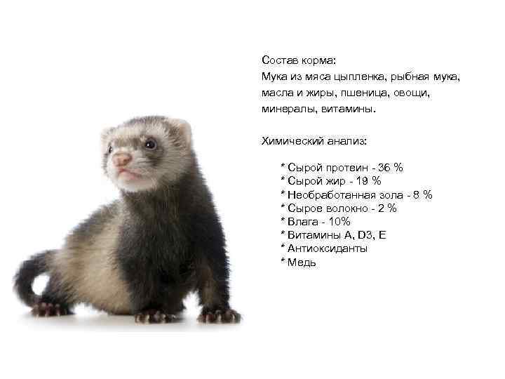 Состав корма: Мука из мяса цыпленка, рыбная мука, масла и жиры, пшеница, овощи, минералы,