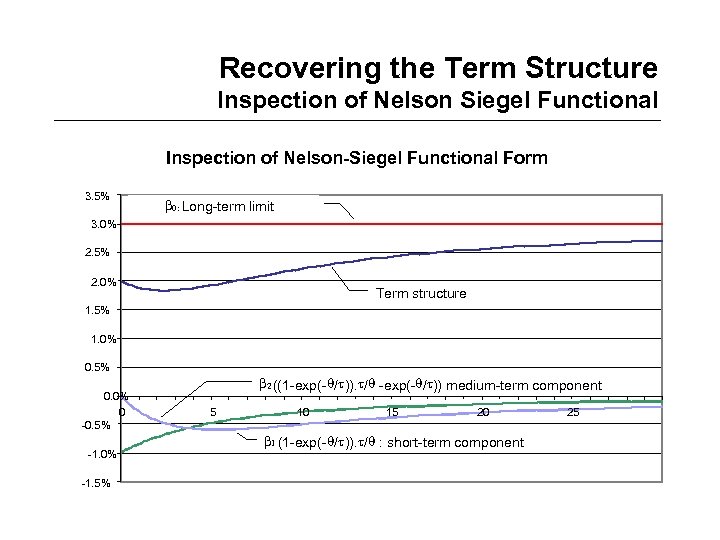 Recovering the Term Structure Inspection of Nelson Siegel Functional Inspection of Nelson-Siegel Functional Form