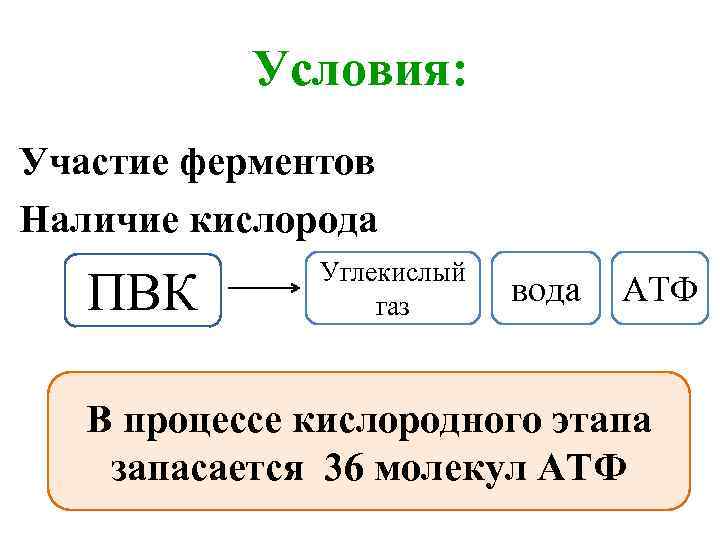 Условия: Участие ферментов Наличие кислорода ПВК Углекислый газ вода АТФ В процессе кислородного этапа