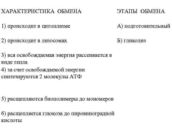 ХАРАКТЕРИСТИКА ОБМЕНА ЭТАПЫ ОБМЕНА 1) происходит в цитоплазме А) подготовительный 2) происходит в лизосомах