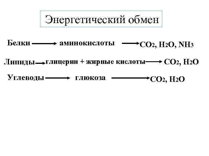  Энергетический обмен Белки Липиды Углеводы аминокислоты СО 2, Н 2 О, NH 3