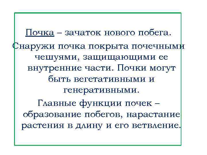 Почка – зачаток нового побега. Снаружи почка покрыта почечными чешуями, защищающими ее внутренние части.