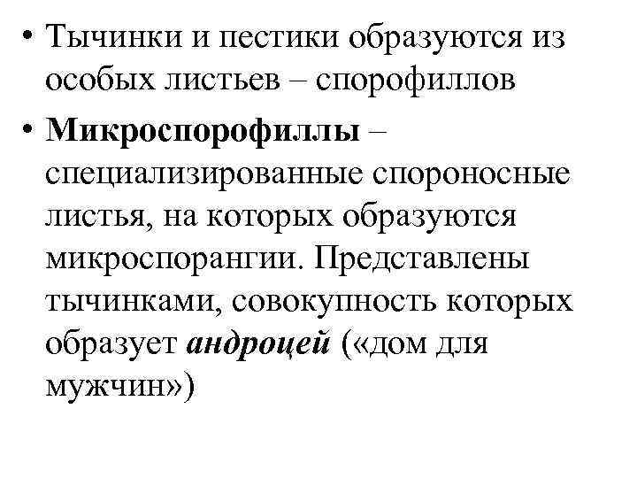  • Тычинки и пестики образуются из особых листьев – спорофиллов • Микроспорофиллы –