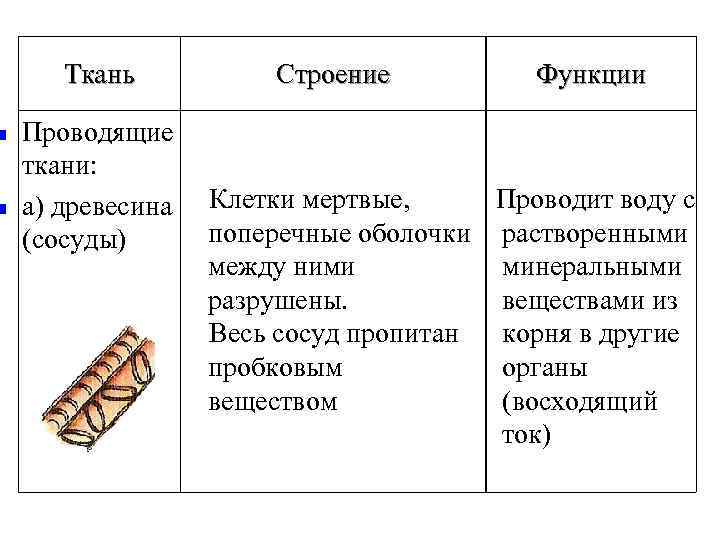 n n Ткань Строение Функции Проводящие ткани: Проводит воду с а) древесина Клетки мертвые,