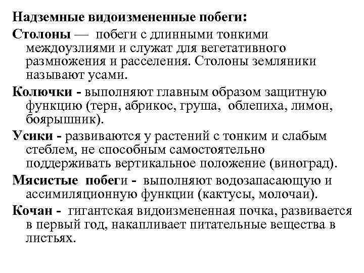 Надземные видоизмененные побеги: Столоны — побеги с длинными тонкими междоузлиями и служат для вегетативного