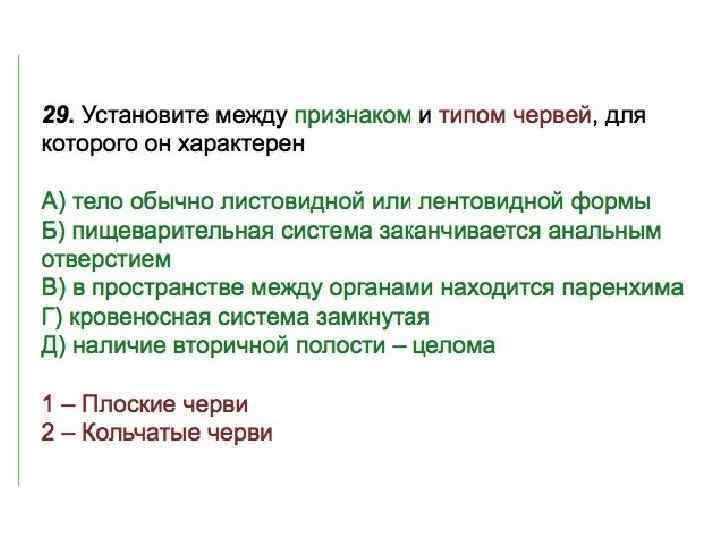 Система закончилась. Тело листовидной или лентовидной формы. Плоские черви тело обычно листовидной или лентовидной формы. Обычно листовидной или лентовидной формы. Тело плоских червей имеет листовидную или лентовидную.