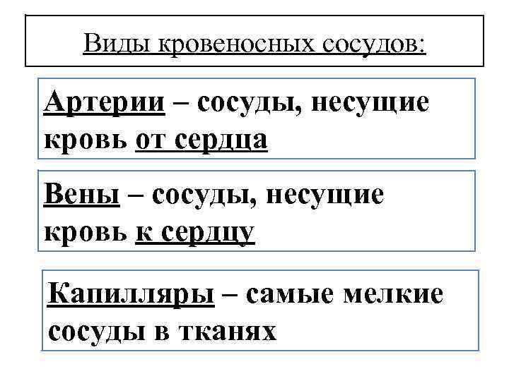 Виды кровеносных сосудов: Артерии – сосуды, несущие кровь от сердца Вены – сосуды, несущие