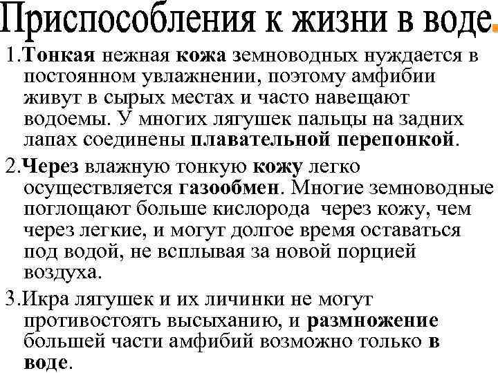 1. Тонкая нежная кожа земноводных нуждается в постоянном увлажнении, поэтому амфибии живут в сырых