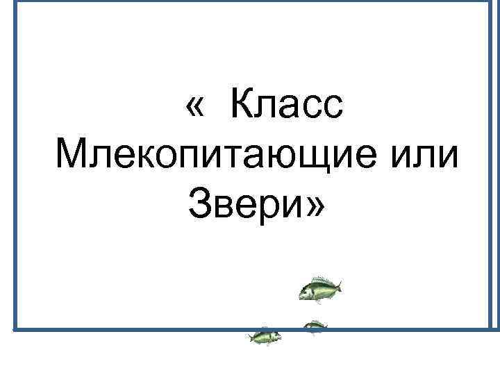  « Класс Млекопитающие или Звери» 