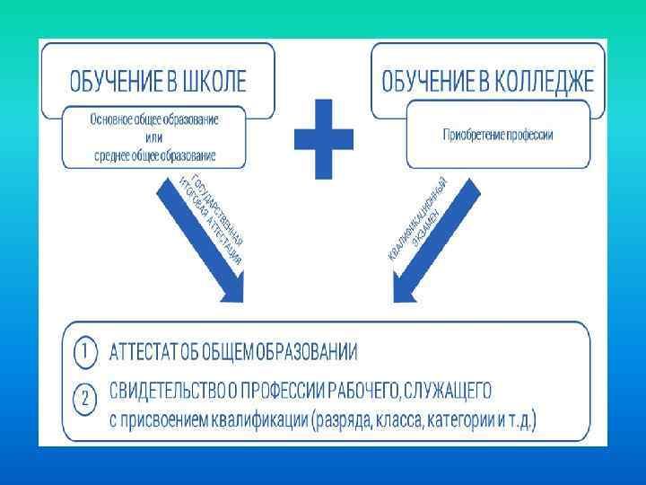 Проект профессиональное образование без границ