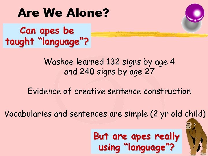 Are We Alone? Can apes be taught “language”? Washoe learned 132 signs by age