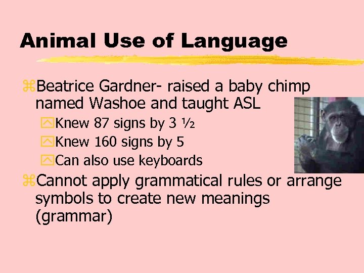 Animal Use of Language z. Beatrice Gardner- raised a baby chimp named Washoe and