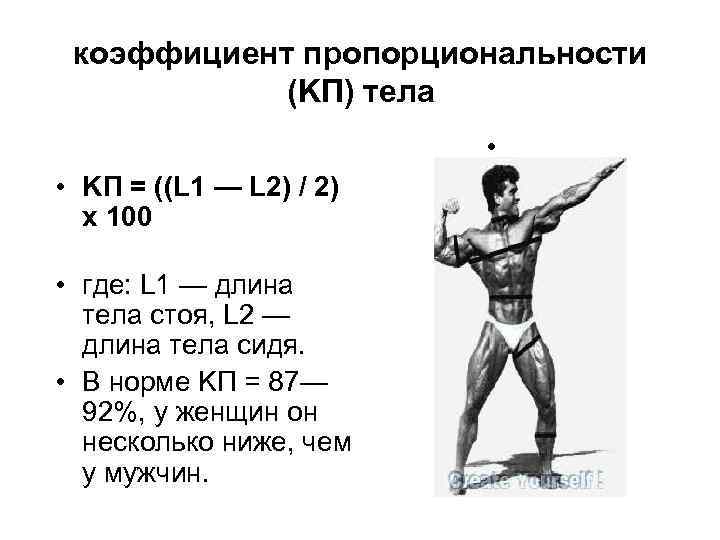 Антропометрия масса тела