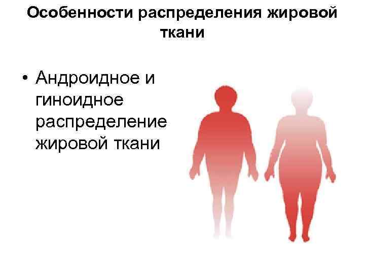Особенности распределения жировой ткани • Андроидное и гиноидное распределение жировой ткани 