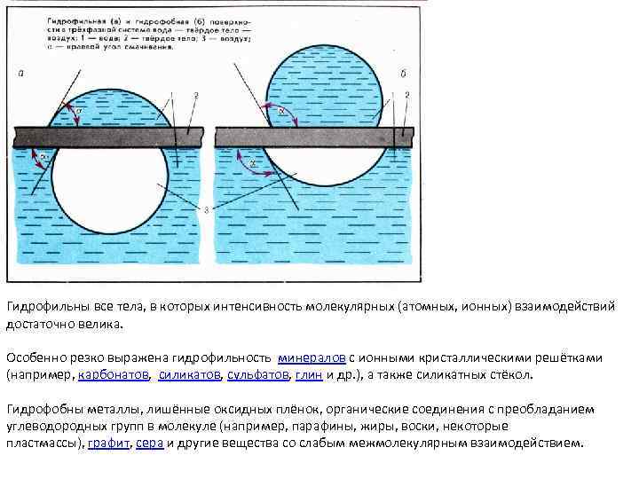 Гидрофильны все тела, в которых интенсивность молекулярных (атомных, ионных) взаимодействий достаточно велика. Особенно резко