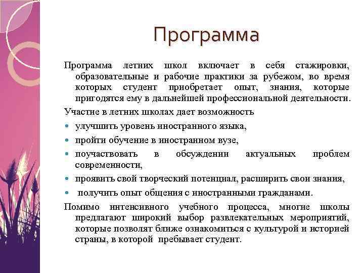 Программа летних школ включает в себя стажировки, образовательные и рабочие практики за рубежом, во