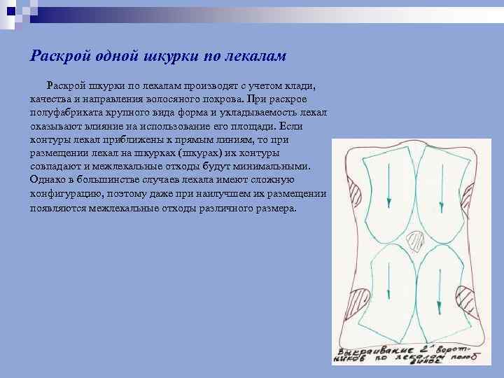 Раскрой одной шкурки по лекалам Раскрой шкурки по лекалам производят с учетом клади, качества