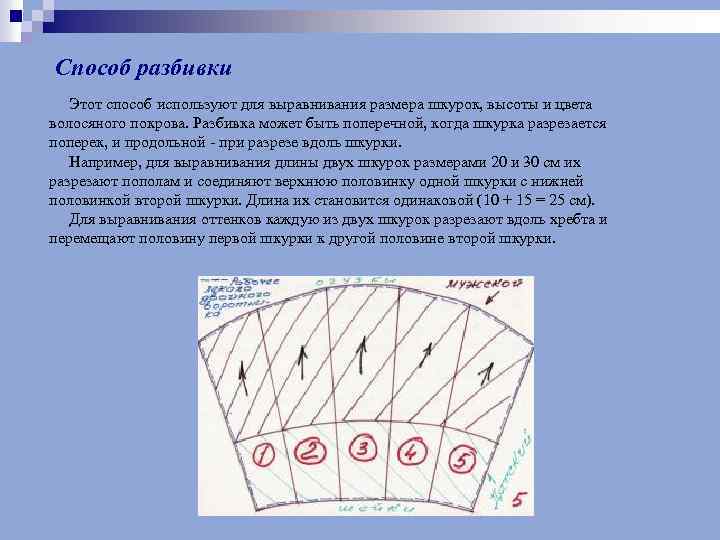 Способ разбивки Этот способ используют для выравнивания размера шкурок, высоты и цвета волосяного покрова.