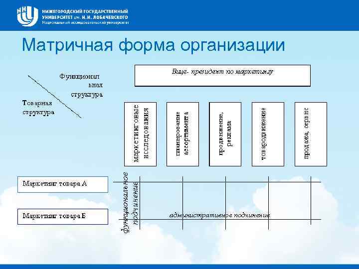  Матричная форма организации 
