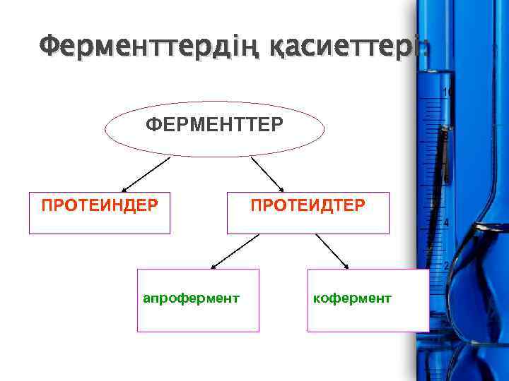 Ферменттердің қасиеттері: ФЕРМЕНТТЕР ПРОТЕИНДЕР апрофермент ПРОТЕИДТЕР кофермент 