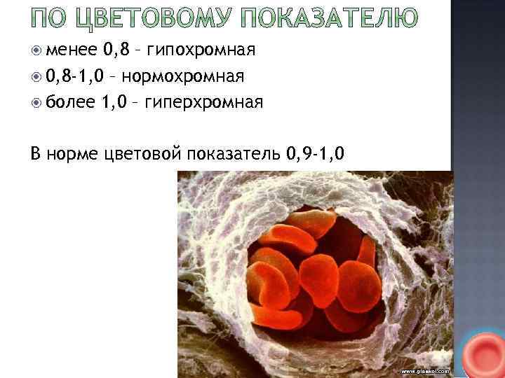  менее 0, 8 – гипохромная 0, 8 -1, 0 – нормохромная более 1,