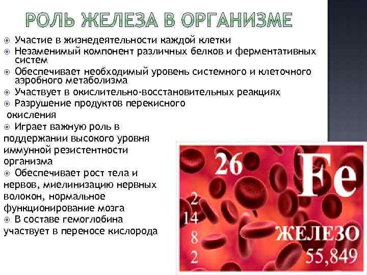 Участие в жизнедеятельности каждой клетки Незаменимый компонент различных белков и ферментативных систем Обеспечивает необходимый