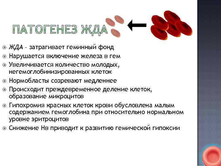  ЖДА – затрагивает геминный фонд Нарушается включение железа в гем Увеличивается количество молодых,