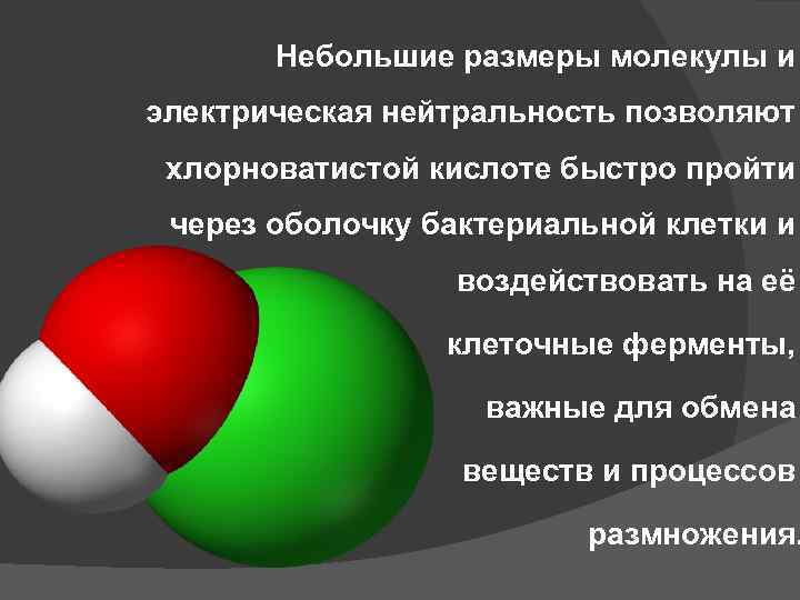 Небольшие размеры молекулы и электрическая нейтральность позволяют хлорноватистой кислоте быстро пройти через оболочку бактериальной