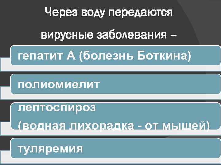 Через воду передаются вирусные заболевания – гепатит А (болезнь Боткина) полиомиелит лептоспироз (водная лихорадка