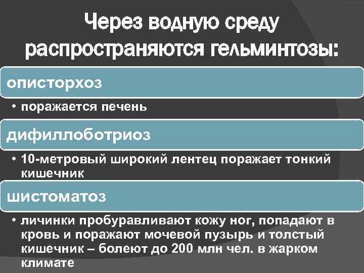Через водную среду распространяются гельминтозы: описторхоз • поражается печень дифиллоботриоз • 10 метровый широкий