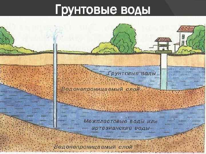 Грунтовые воды 