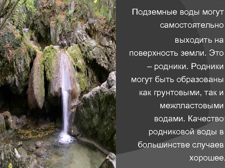 Вода в чаще. Подземные воды Родники. Подземные воды выходящие на поверхность в виде источников. Родники информация. Подземные воды гигиена.