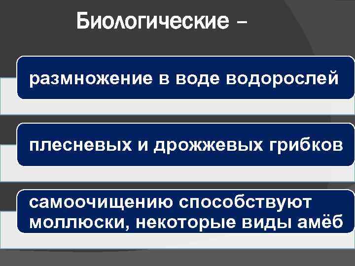 Биологические – размножение в воде водорослей плесневых и дрожжевых грибков самоочищению способствуют моллюски, некоторые