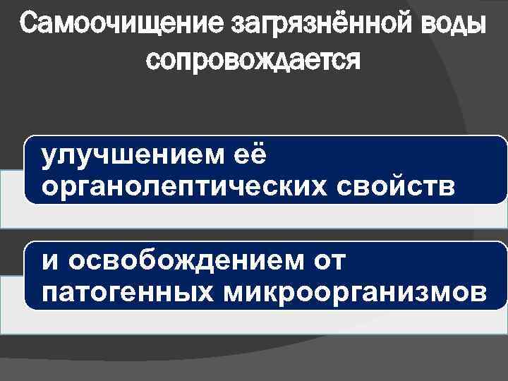 Самоочищение загрязнённой воды сопровождается улучшением её органолептических свойств и освобождением от патогенных микроорганизмов 