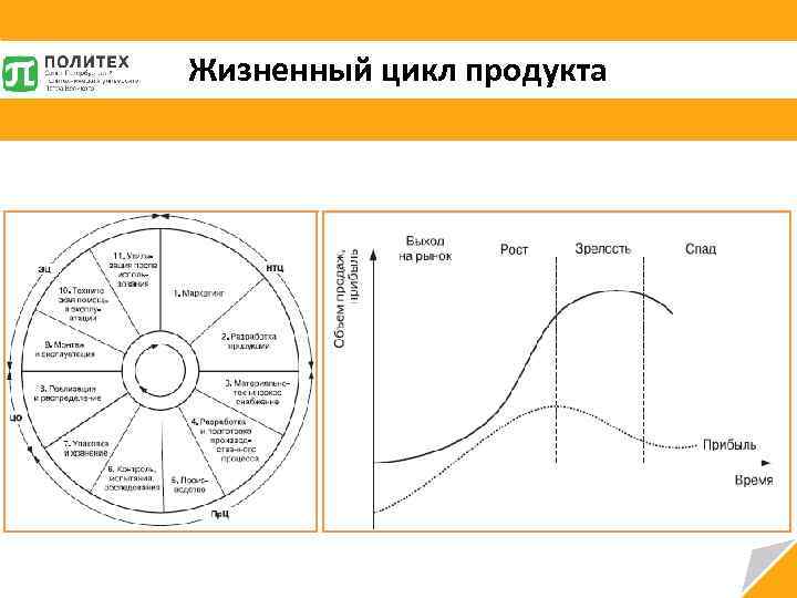Жизненный цикл продукта 