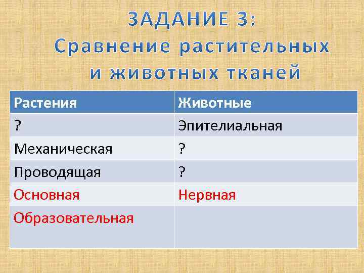 Растения ? Механическая Проводящая Основная Образовательная Животные Эпителиальная ? ? Нервная 