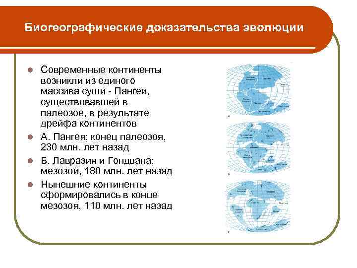 Биогеографические доказательства эволюции Современные континенты возникли из единого массива суши - Пангеи, существовавшей в