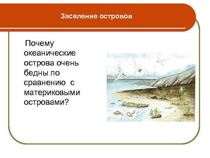 Заселение островов Почему океанические острова очень бедны по сравнению с материковыми островами? 