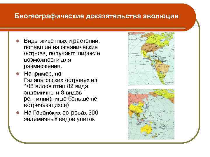 Биогеографические доказательства эволюции Виды животных и растений, попавшие на океанические острова, получают широкие возможности