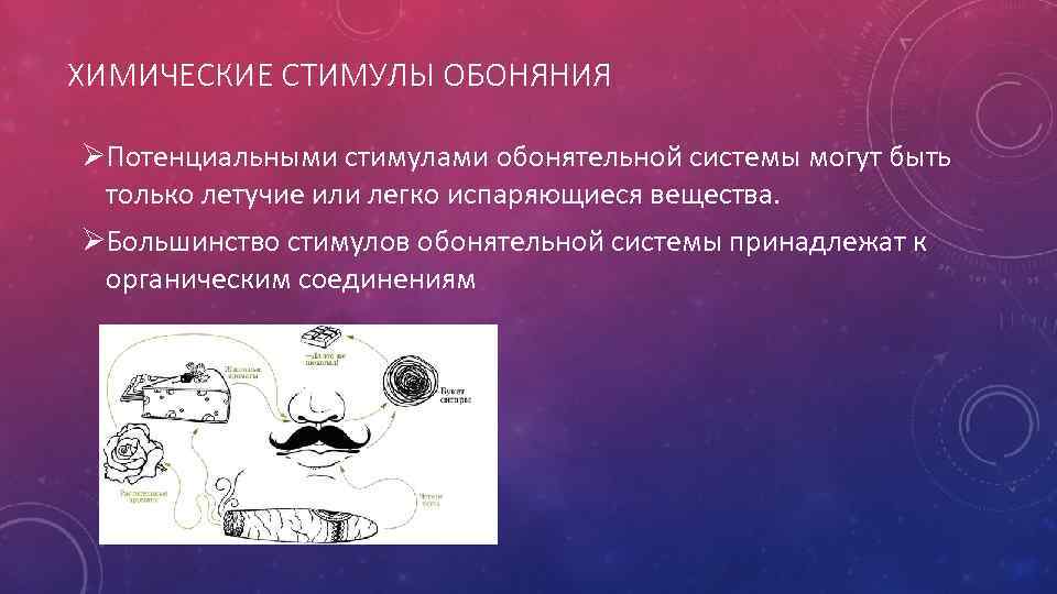 ХИМИЧЕСКИЕ СТИМУЛЫ ОБОНЯНИЯ ØПотенциальными стимулами обонятельной системы могут быть только летучие или легко испаряющиеся