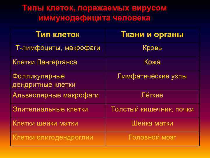 Типы клеток, поражаемых вирусом иммунодефицита человека Тип клеток Ткани и органы Т-лимфоциты, макрофаги Кровь