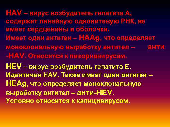 HAV – вирус возбудитель гепатита А, содержит линейную однонитевую РНК, не имеет сердцевины и